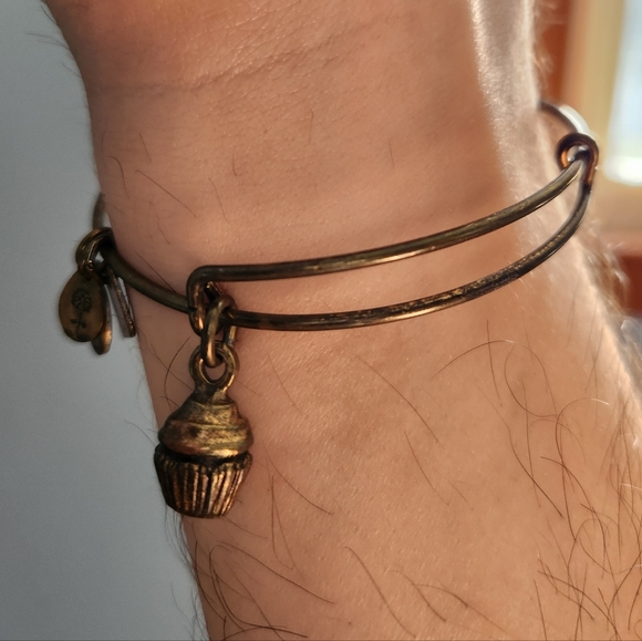 🧁 Alex and Ani Cupcake Charm Bangle Bracelet - Picture 2 of 3